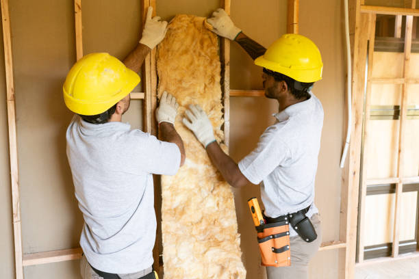 Professional Insulation Contractor in Humboldt, IA